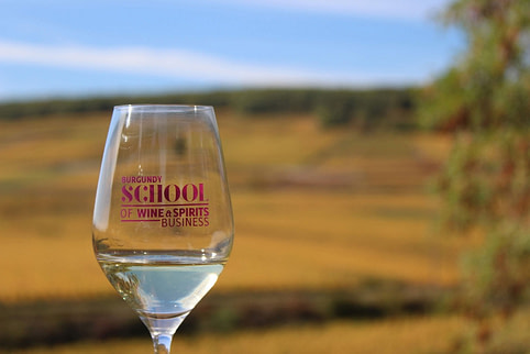 BSB School of Wine and Spirits Business